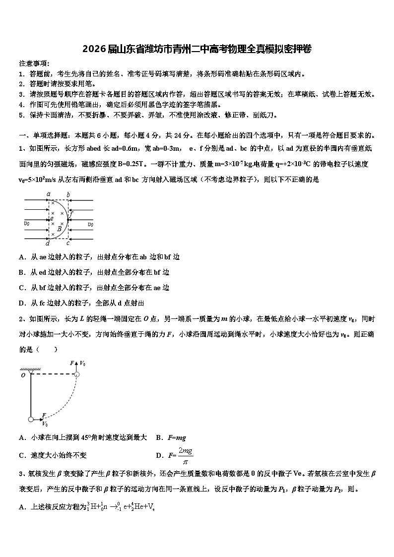 2026届山东省潍坊市青州二中高考物理全真模拟密押卷含解析第1页