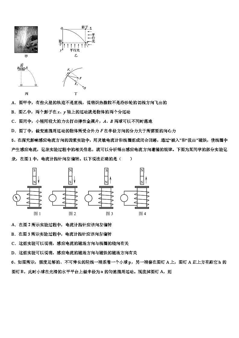 2026届山东省潍坊市诸城一中高三最后一卷物理试卷含解析第2页