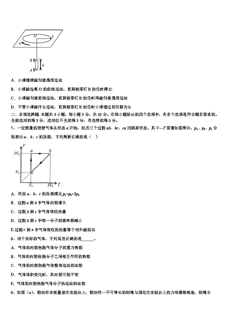 2026届山东省潍坊市诸城一中高三最后一卷物理试卷含解析第3页