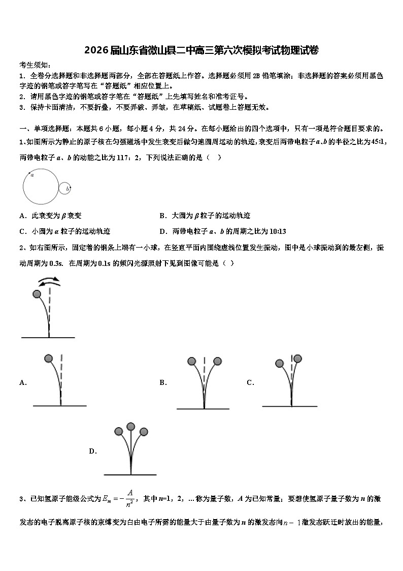 2026届山东省微山县二中高三第六次模拟考试物理试卷含解析第1页