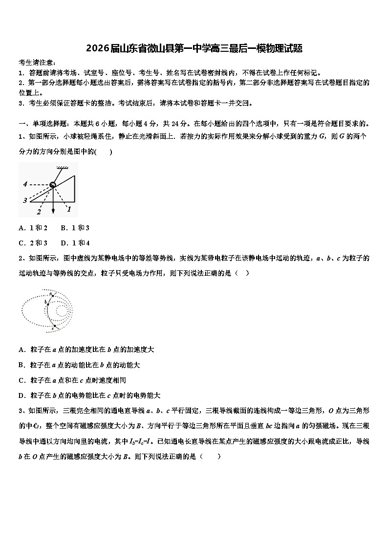 2026届山东省微山县第一中学高三最后一模物理试题含解析第1页