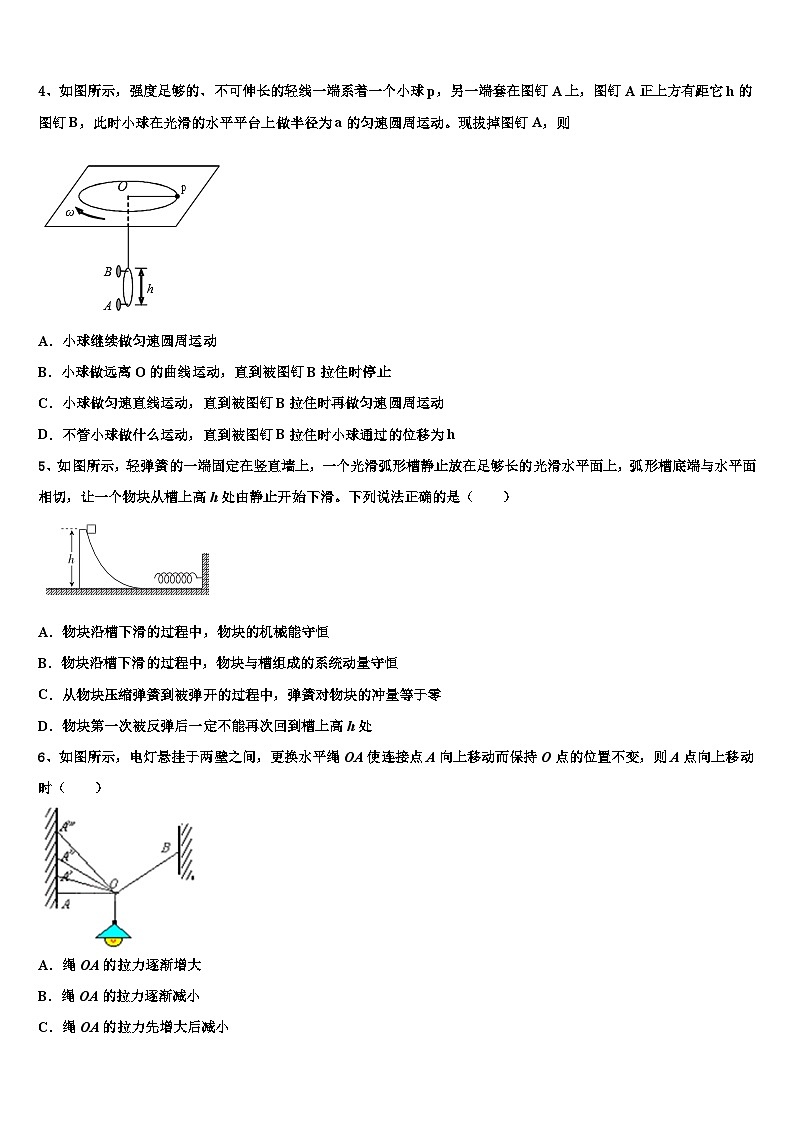 2026届山东省枣庄市现代实验学校高考考前模拟物理试题含解析第2页