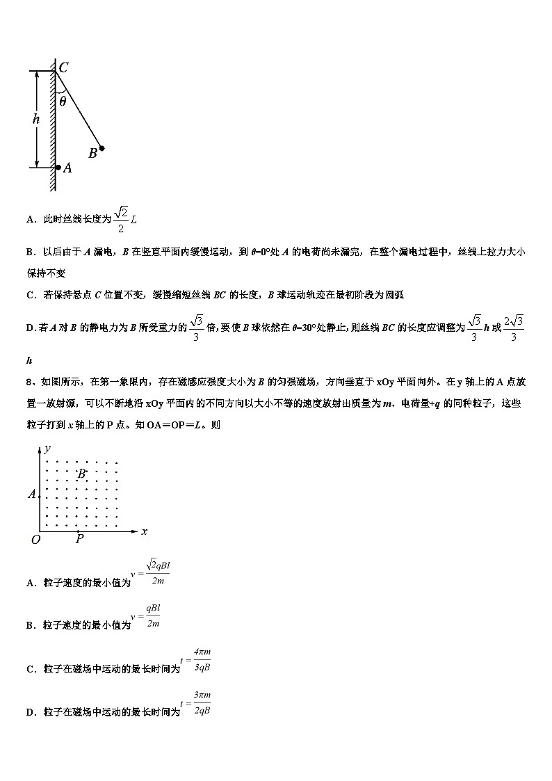 2026届山东省枣庄市薛城区枣庄八中东校区高考临考冲刺物理试卷含解析第3页