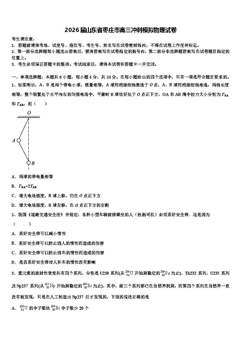 2026届山东省枣庄市高三冲刺模拟物理试卷含解析第1页