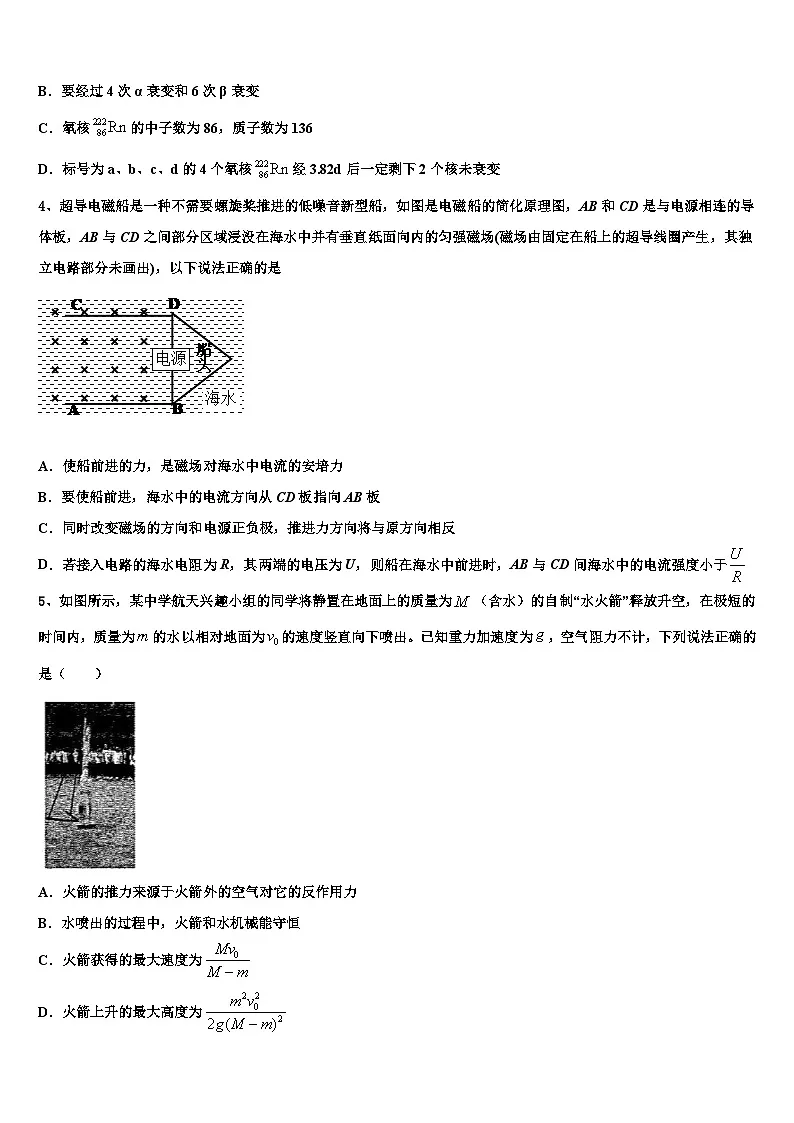 2026届山东新高考物理全真模拟密押卷含解析第2页