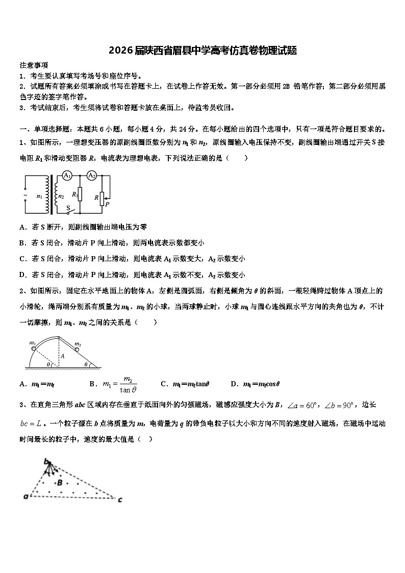 2026届陕西省眉县中学高考仿真卷物理试题含解析第1页