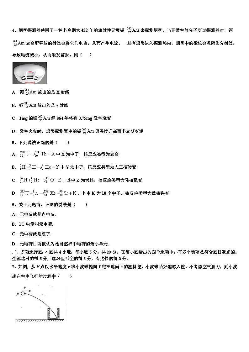 2026届上海浦东新区高考仿真卷物理试卷含解析第2页