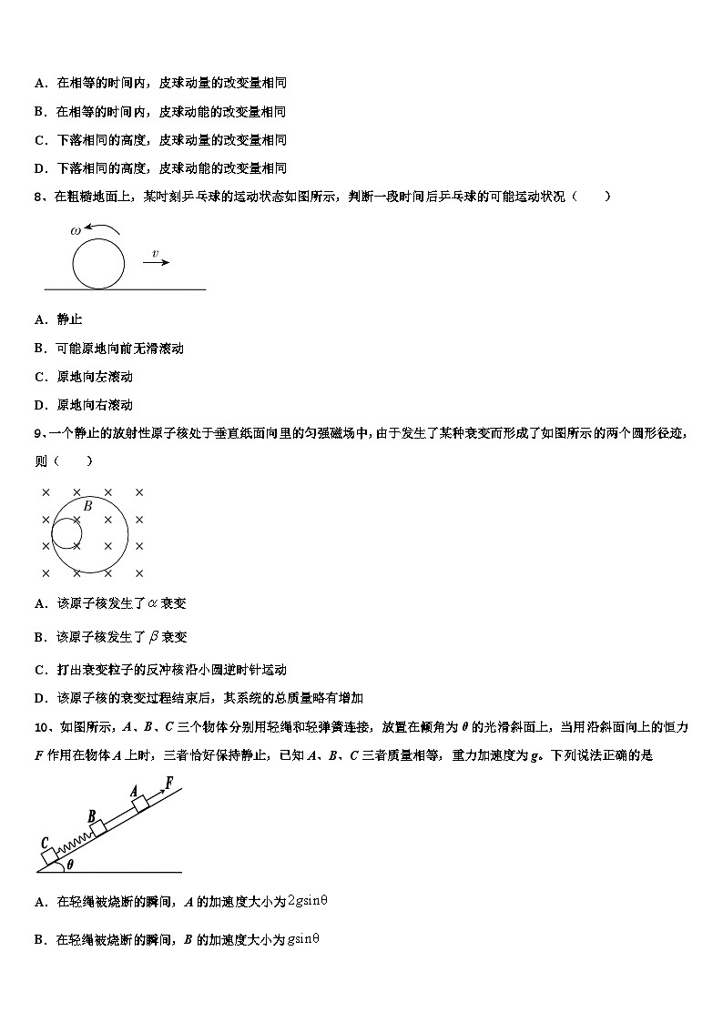 2026届上海浦东新区高考仿真卷物理试卷含解析第3页