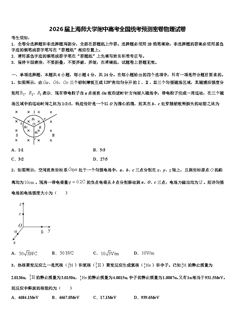 2026届上海师大学附中高考全国统考预测密卷物理试卷含解析第1页