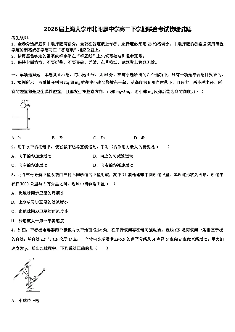 2026届上海大学市北附属中学高三下学期联合考试物理试题含解析第1页