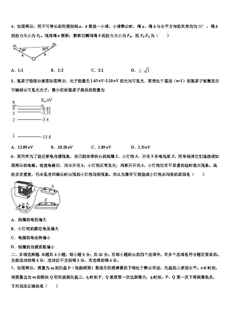 2026届上海大学市北附属中学高三压轴卷物理试卷含解析第2页