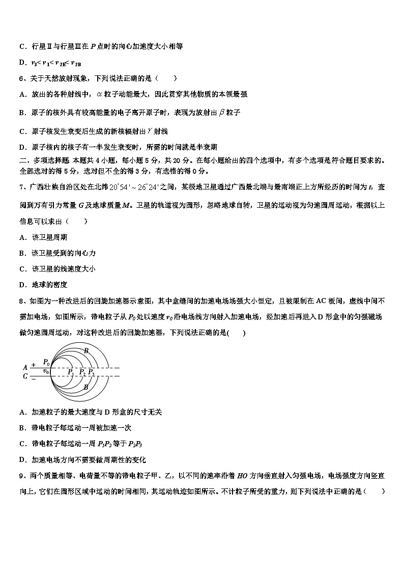 2026届上海复旦大学附属中学高三3月份模拟考试物理试题含解析第3页