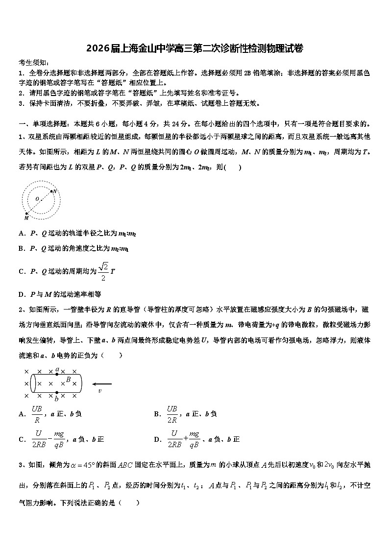 2026届上海金山中学高三第二次诊断性检测物理试卷含解析第1页