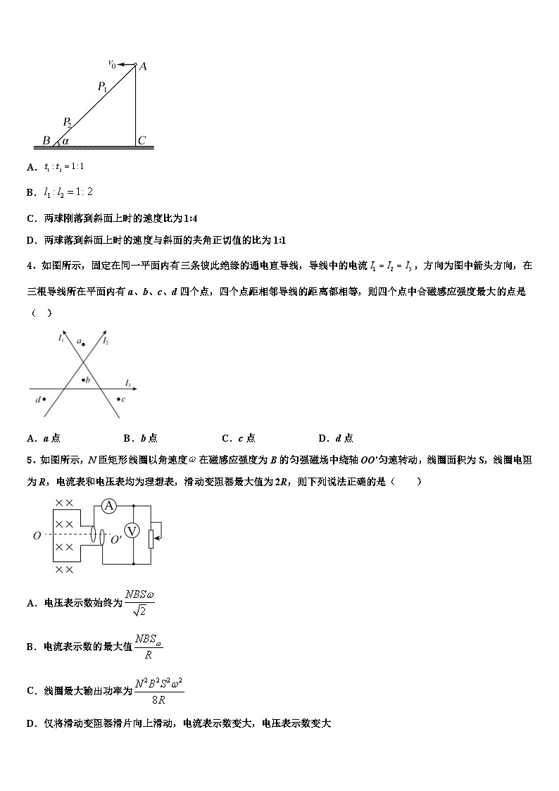 2026届上海金山中学高三第二次诊断性检测物理试卷含解析第2页