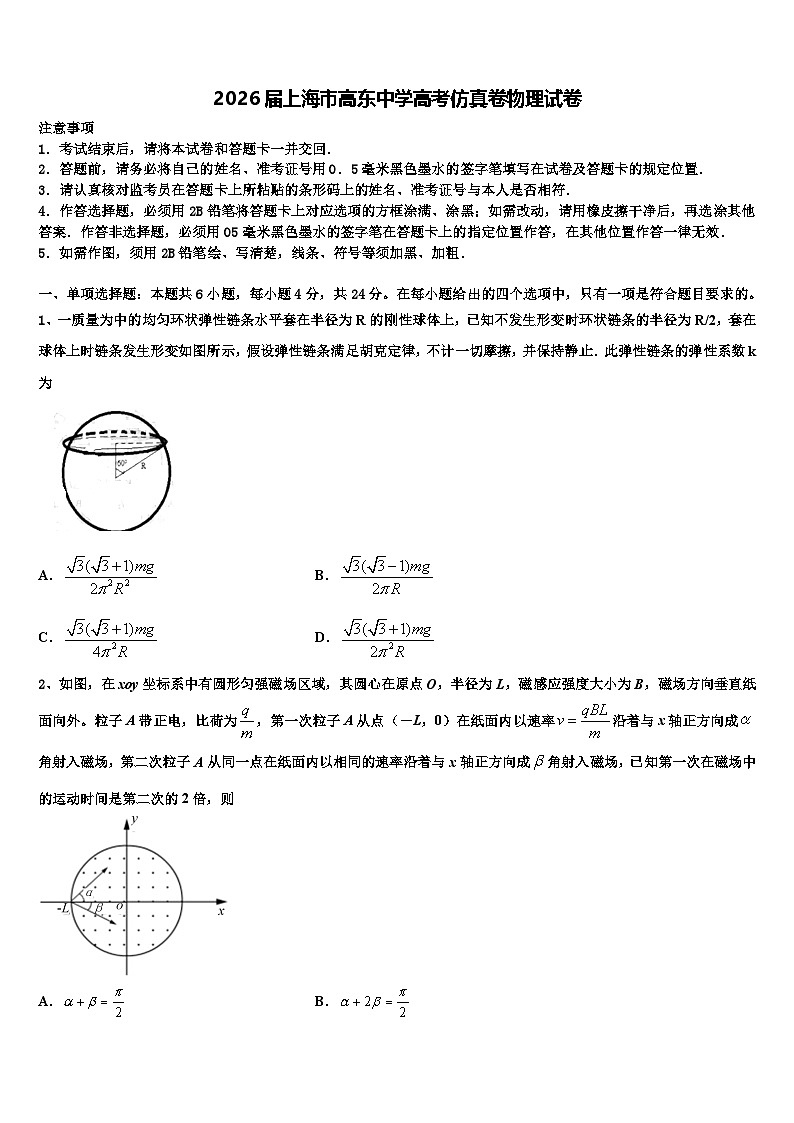 2026届上海市高东中学高考仿真卷物理试卷含解析第1页