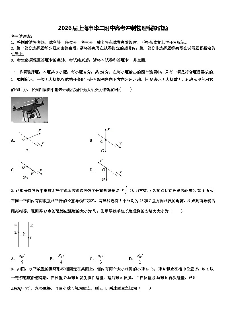 2026届上海市华二附中高考冲刺物理模拟试题含解析第1页