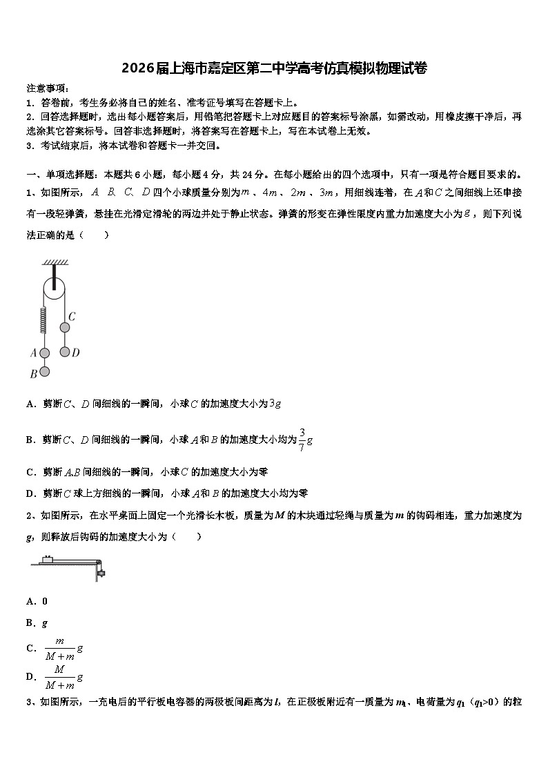 2026届上海市嘉定区第二中学高考仿真模拟物理试卷含解析第1页