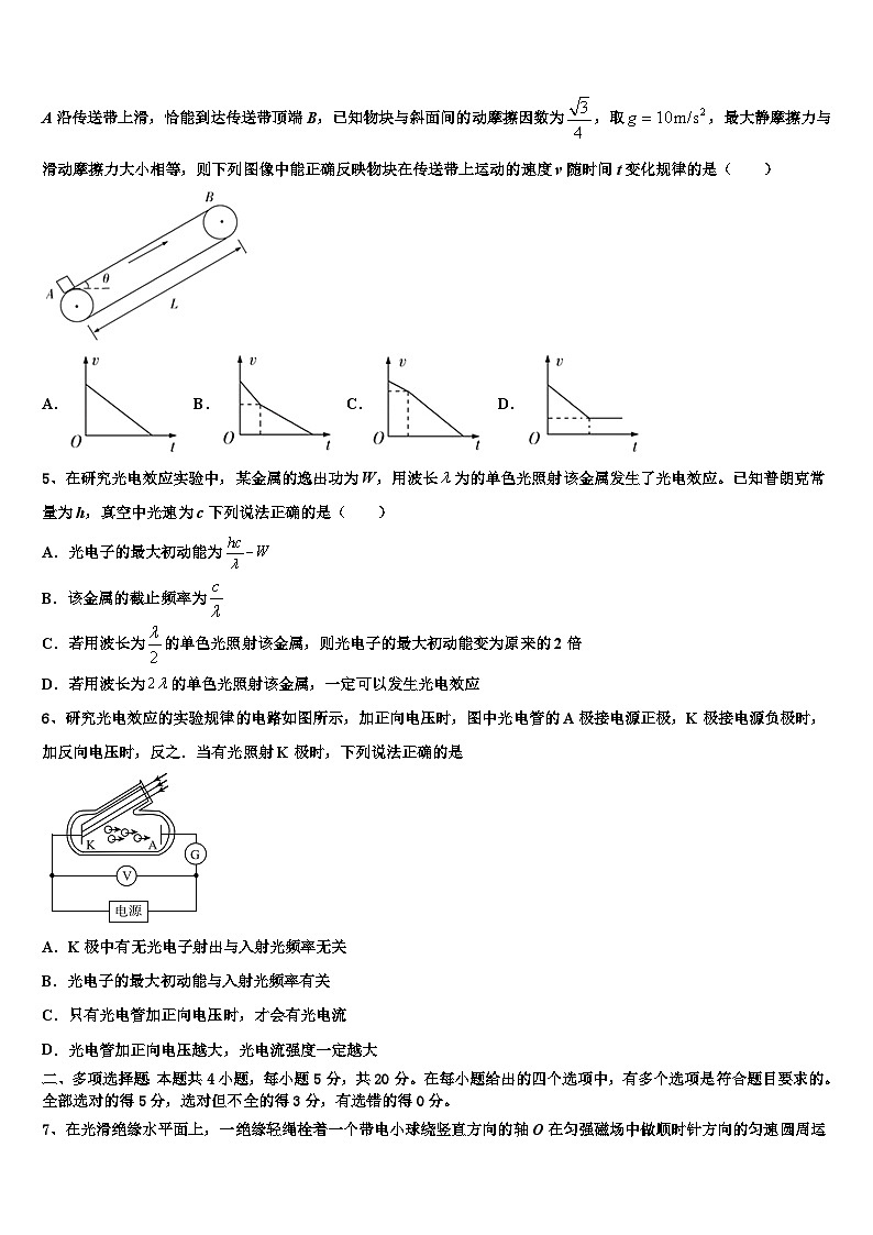 2026届上海市交大附属中学高考冲刺押题（最后一卷）物理试卷含解析第2页