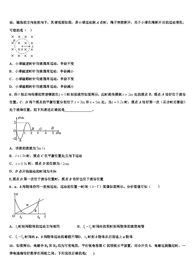2026届上海市交大附属中学高考冲刺押题（最后一卷）物理试卷含解析第3页