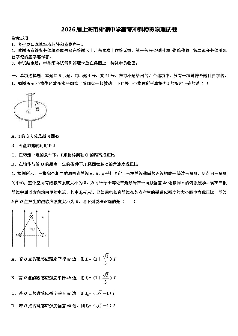 2026届上海市桃浦中学高考冲刺模拟物理试题含解析第1页