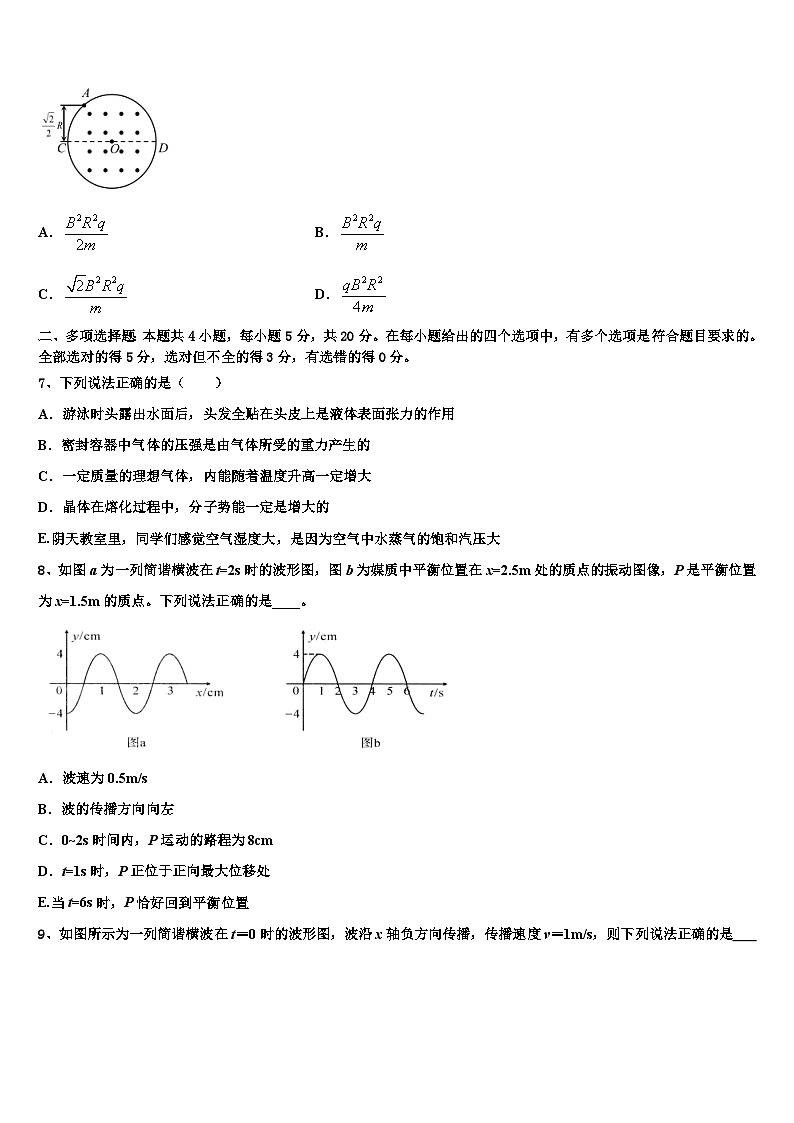 2026届上海市外国语大学附中高考物理倒计时模拟卷含解析第3页