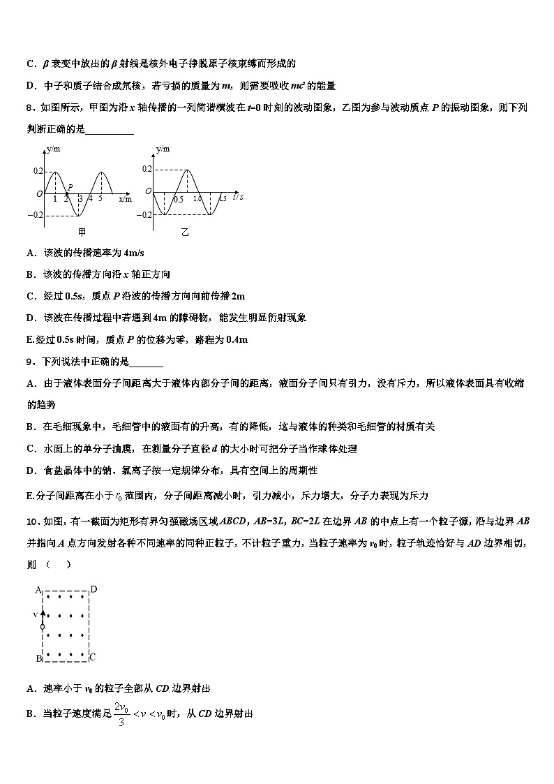 2026届上海市师大二附中高考物理必刷试卷含解析第3页