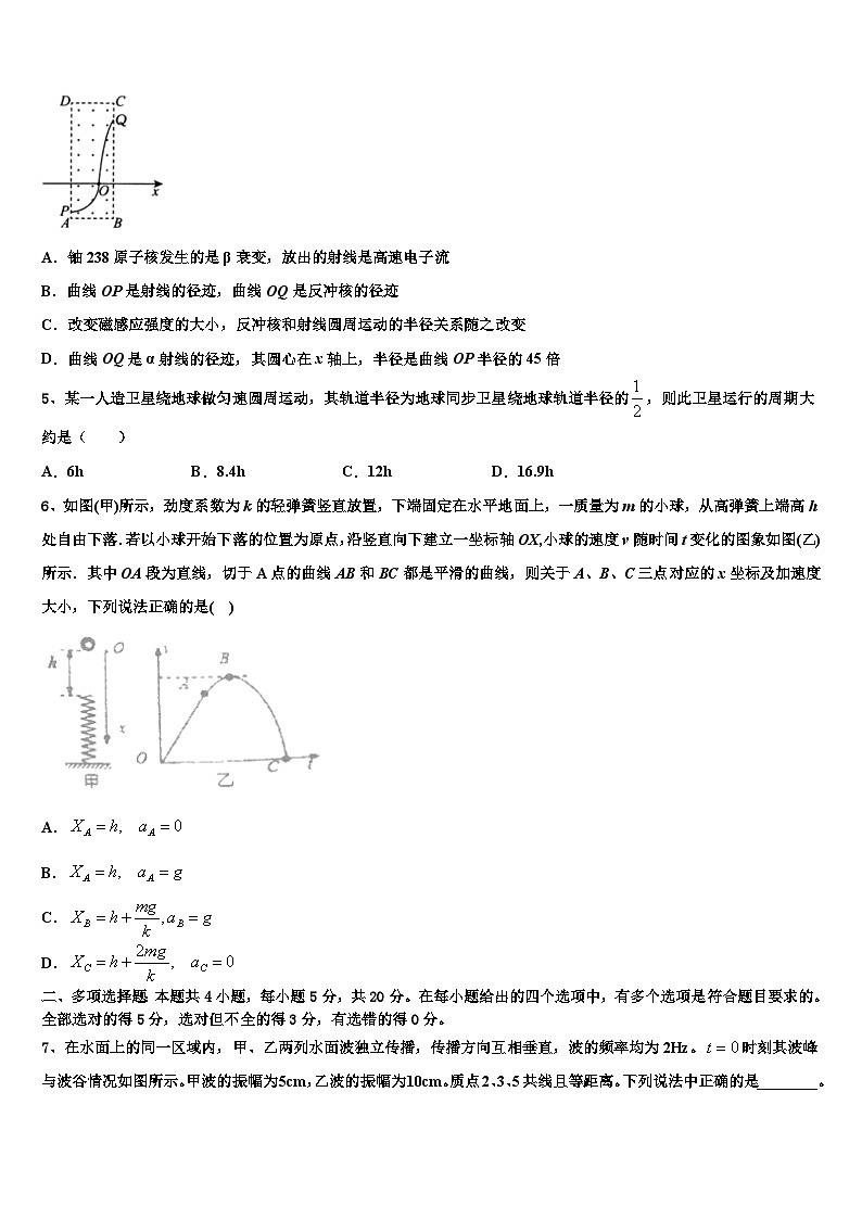 2026届上海市师范大学附属第二外国语学校高考冲刺物理模拟试题含解析第2页