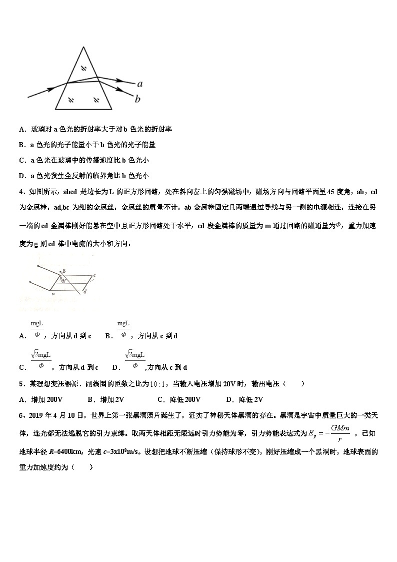 2026届上海市师范大学附属第二外国语学校高考仿真卷物理试卷含解析第2页