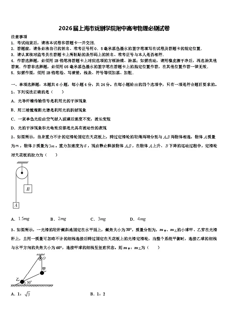 2026届上海市戏剧学院附中高考物理必刷试卷含解析第1页