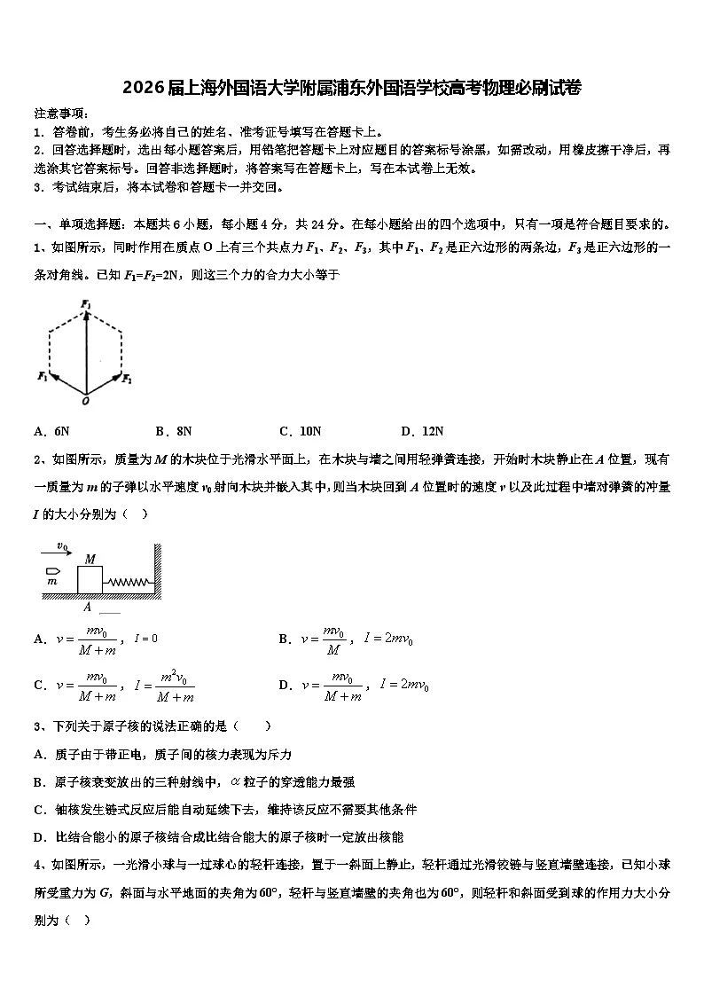 2026届上海外国语大学附属浦东外国语学校高考物理必刷试卷含解析第1页