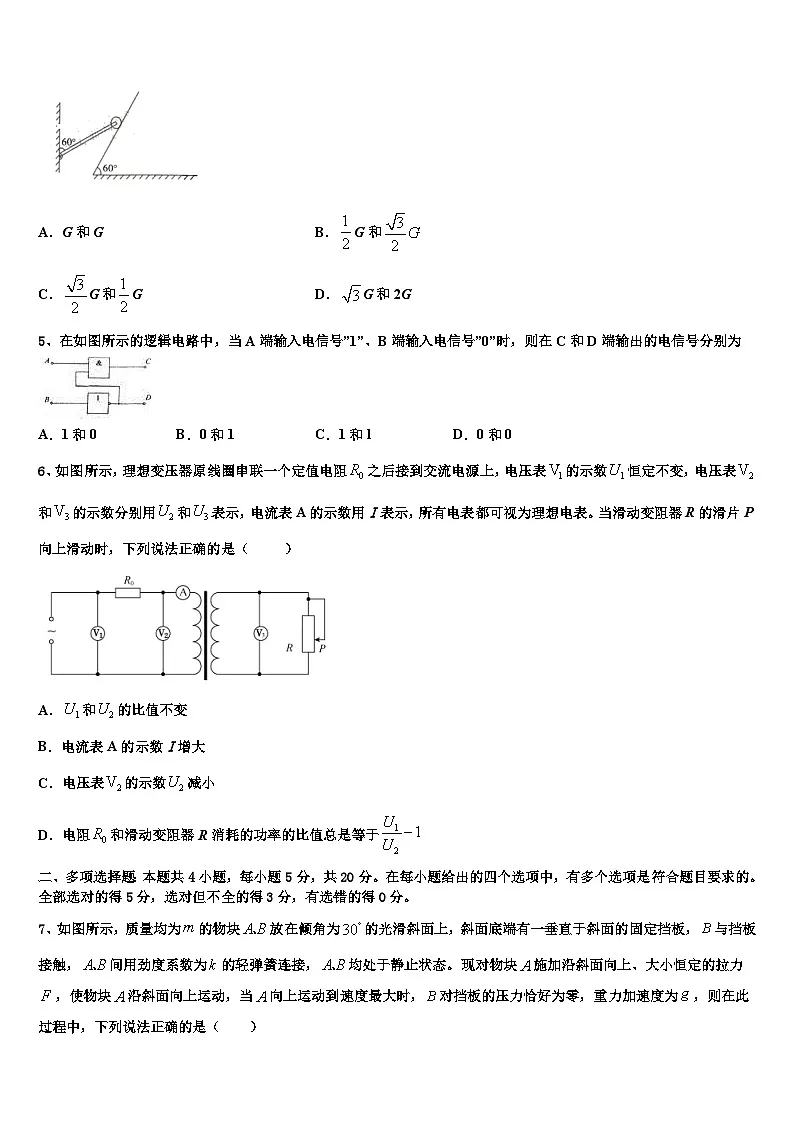 2026届上海外国语大学附属浦东外国语学校高考物理必刷试卷含解析第2页