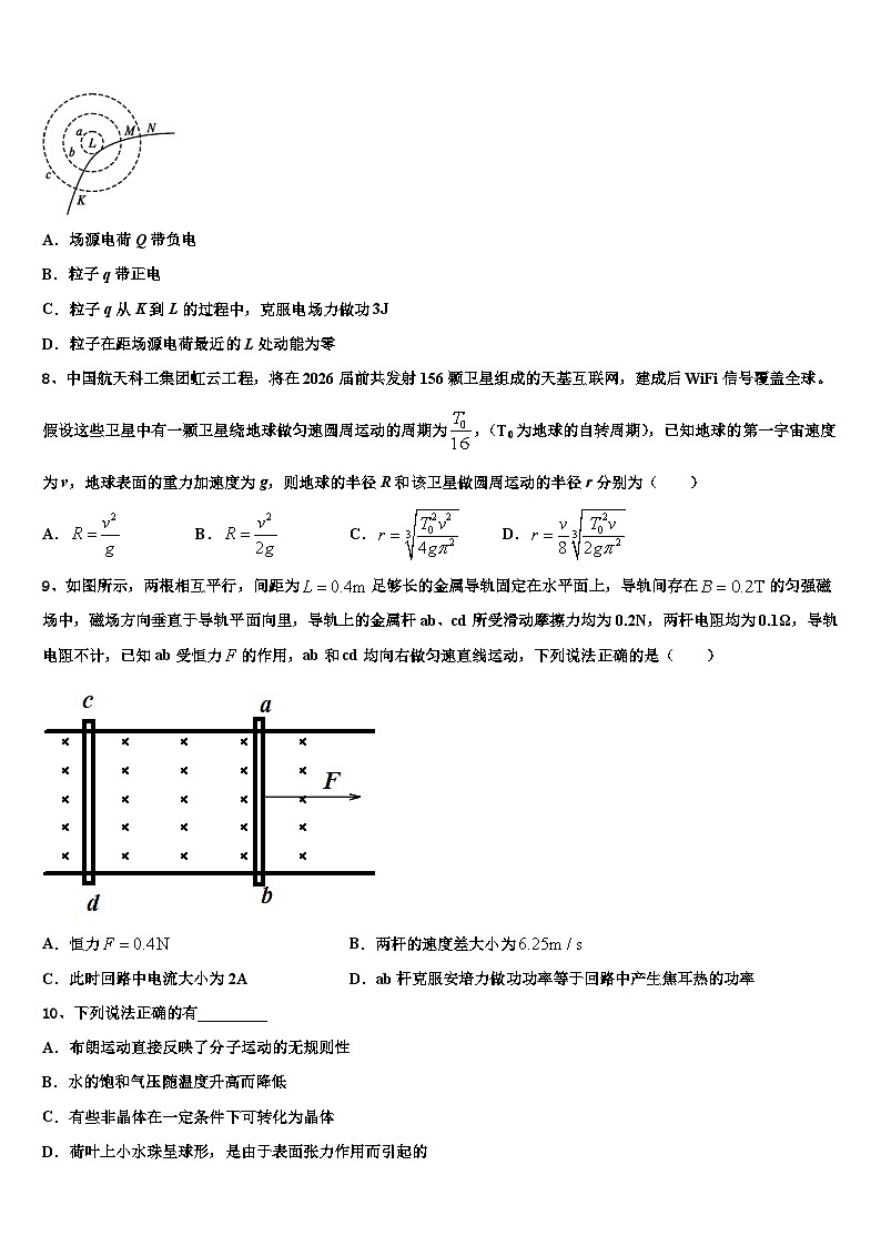 2026届上海外国语大学附属上外高中高考仿真卷物理试题含解析第3页