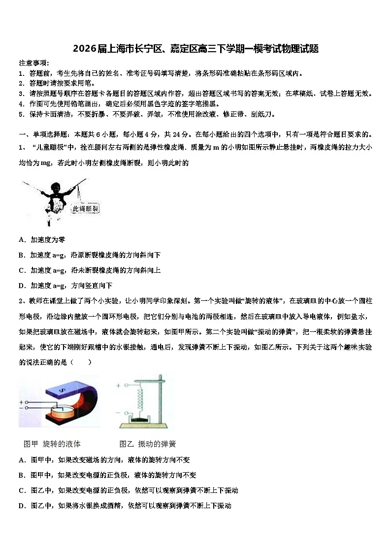 2026届上海市长宁区、嘉定区高三下学期一模考试物理试题含解析第1页