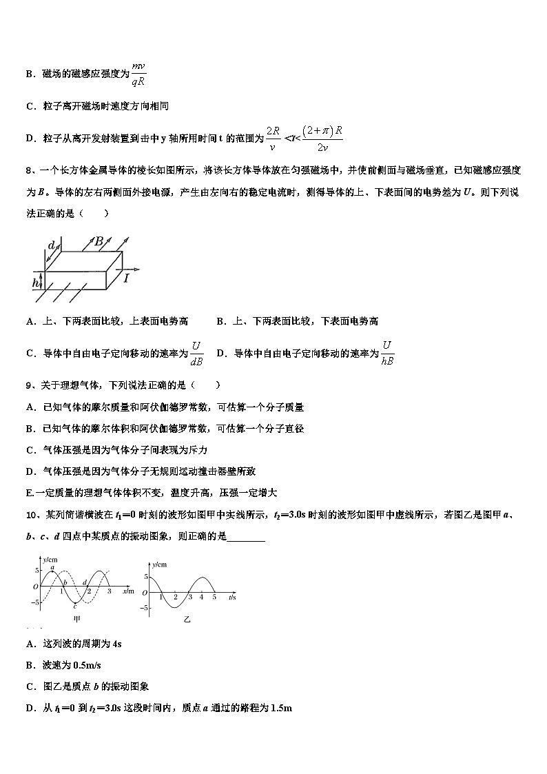 2026届上海市育才中学高三第一次模拟考试物理试卷含解析第3页