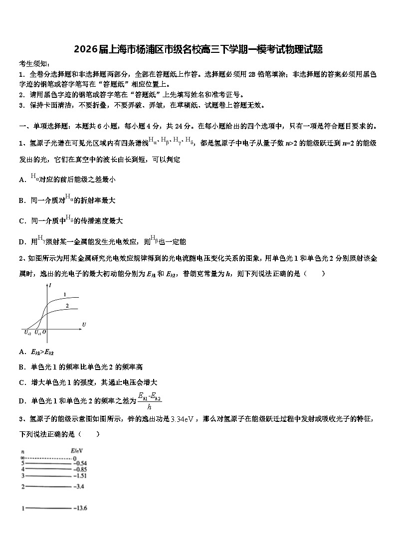 2026届上海市杨浦区市级名校高三下学期一模考试物理试题含解析第1页