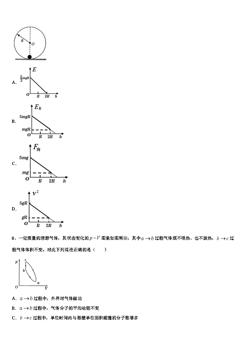2026届上海外国语大学附属中学高三第二次模拟考试物理试卷含解析第3页