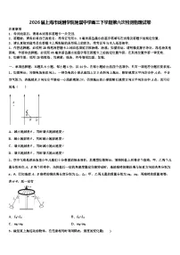 2026届上海市戏剧学院附属中学高三下学期第六次检测物理试卷含解析