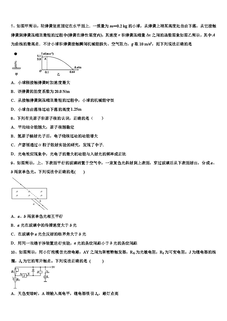 2026届上海市五校联合教学调研高三第五次模拟考试物理试卷含解析第3页