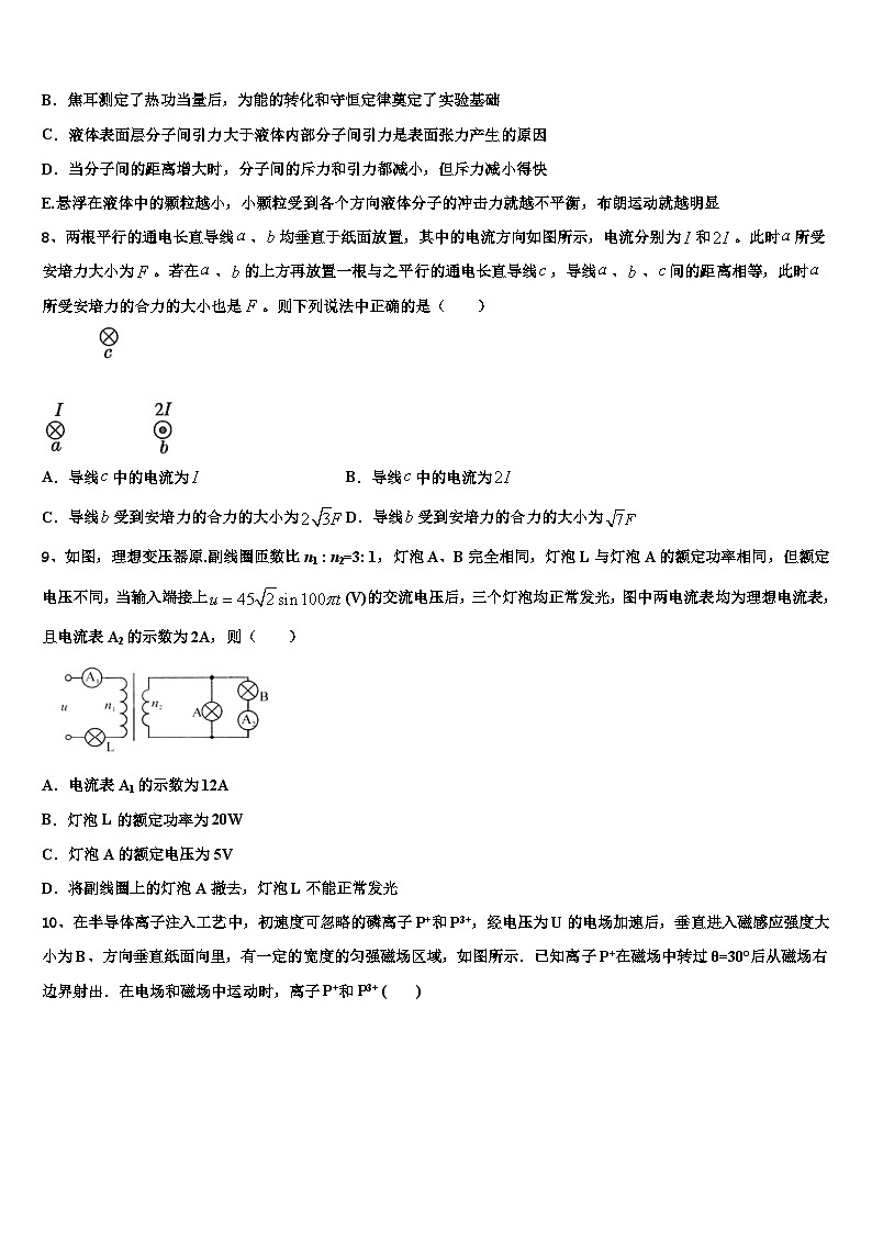 2026届上海市五爱中学高三第五次模拟考试物理试卷含解析第3页