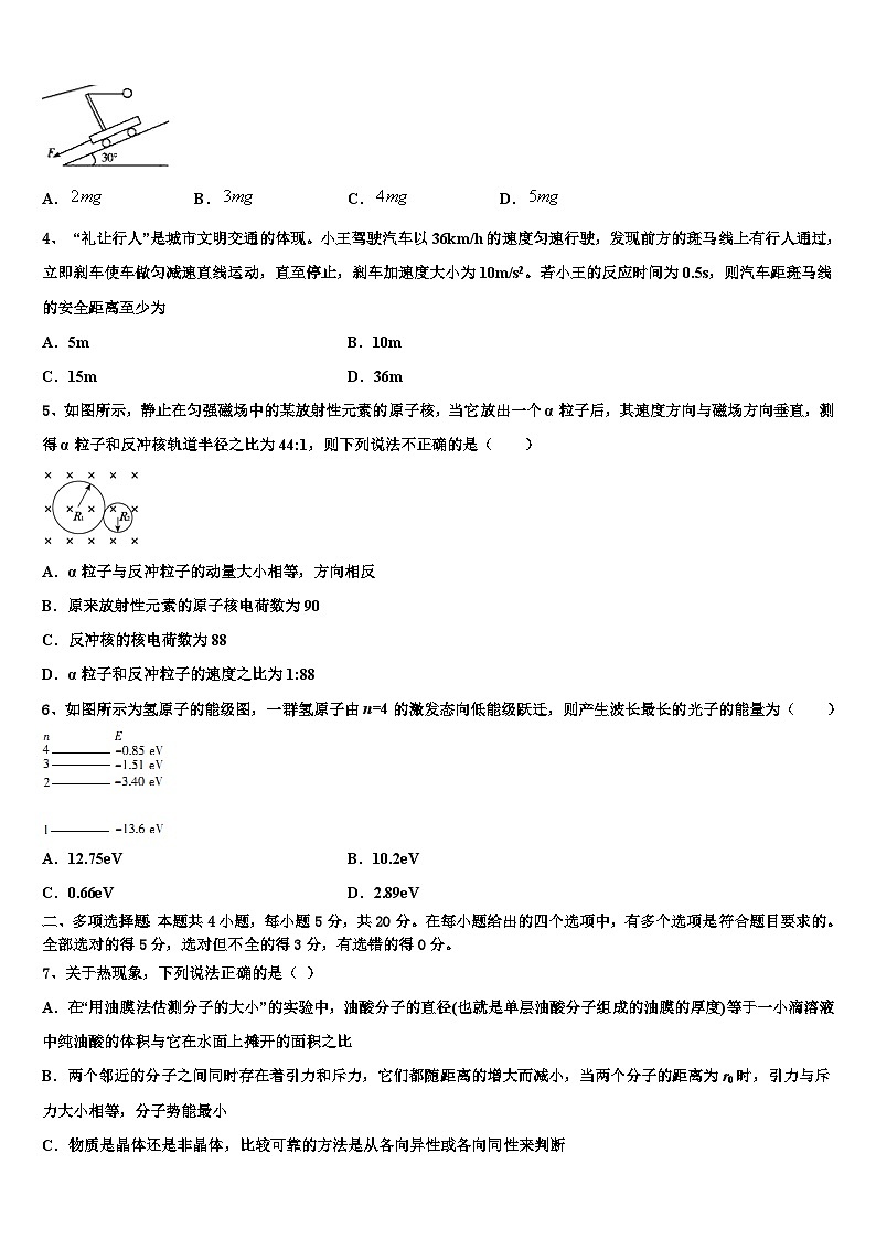 2026届上海市延安中学高三3月份模拟考试物理试题含解析第2页