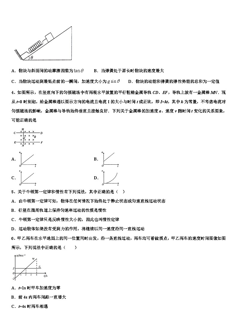 2026届上海市师范大学附属外国语中学高三第三次模拟考试物理试卷含解析第2页