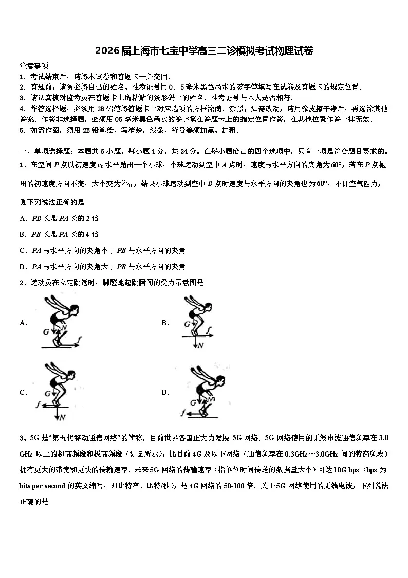 2026届上海市七宝中学高三二诊模拟考试物理试卷含解析第1页