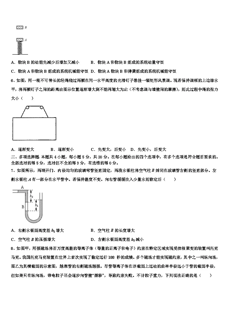 2026届上海市七宝中学高三二诊模拟考试物理试卷含解析第3页