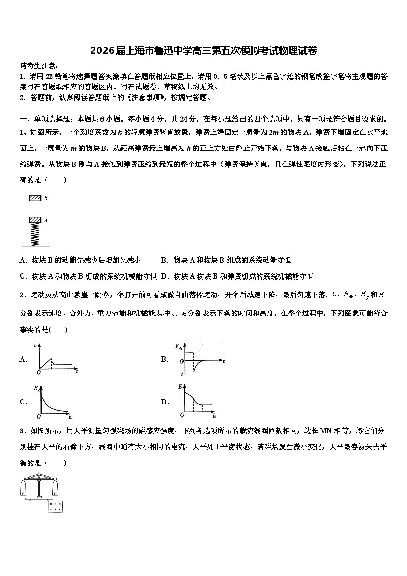 2026届上海市鲁迅中学高三第五次模拟考试物理试卷含解析第1页