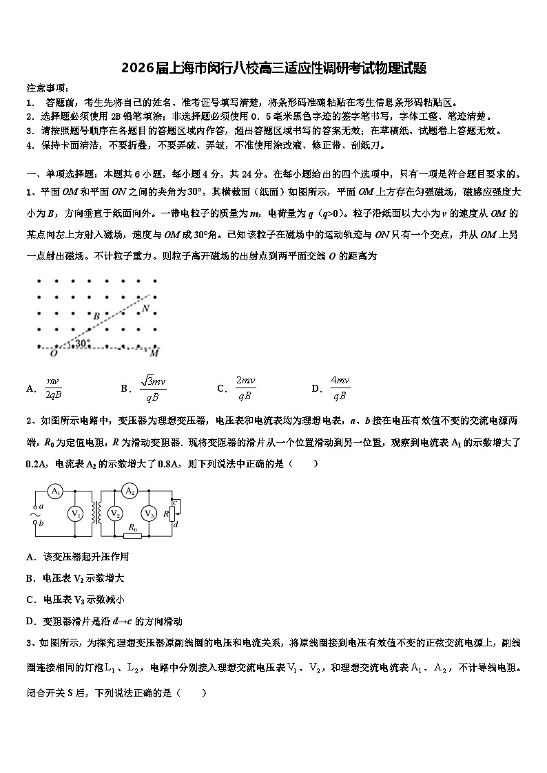 2026届上海市闵行八校高三适应性调研考试物理试题含解析第1页