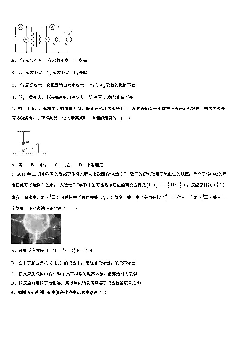 2026届上海市闵行八校高三适应性调研考试物理试题含解析第2页