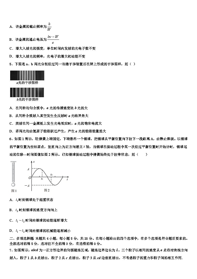 2026届上海市理工大附中高三下学期联合考试物理试题含解析第2页