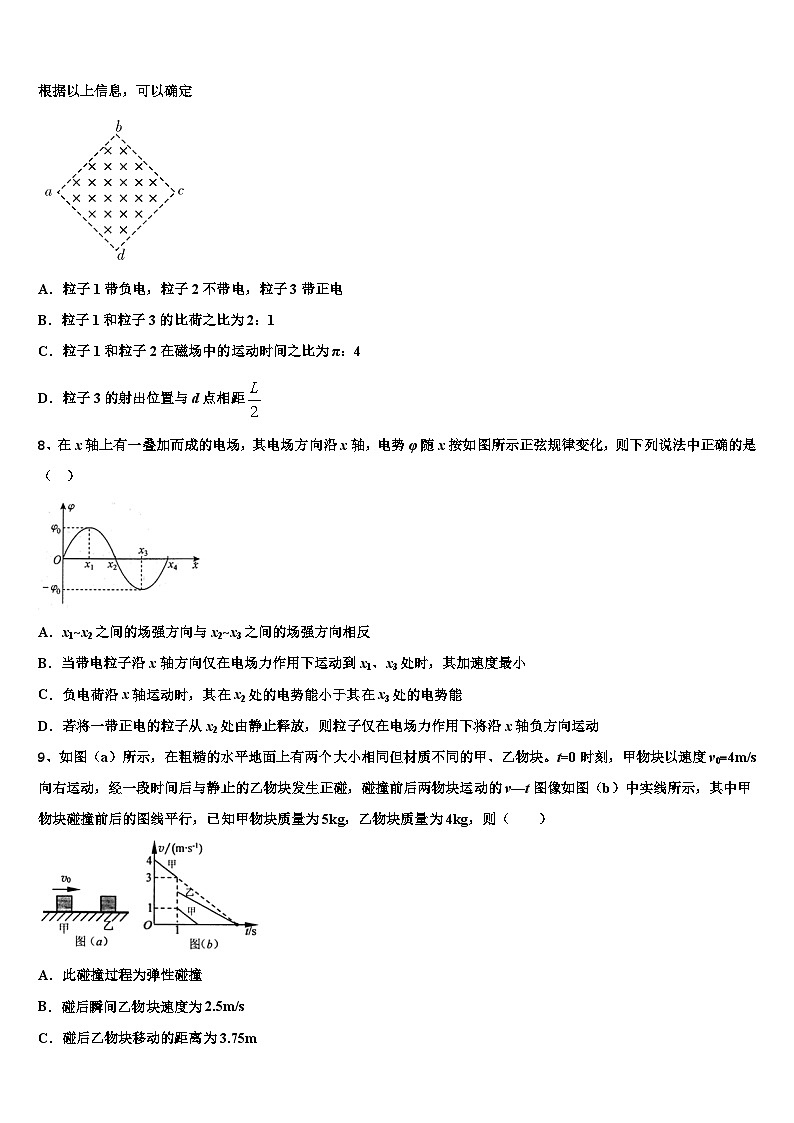 2026届上海市理工大附中高三下学期联合考试物理试题含解析第3页