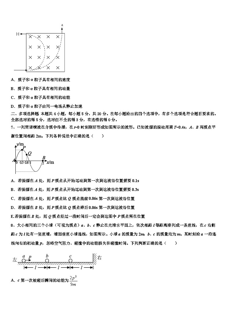 2026届上海市金山中学高三第一次调研测试物理试卷含解析第3页