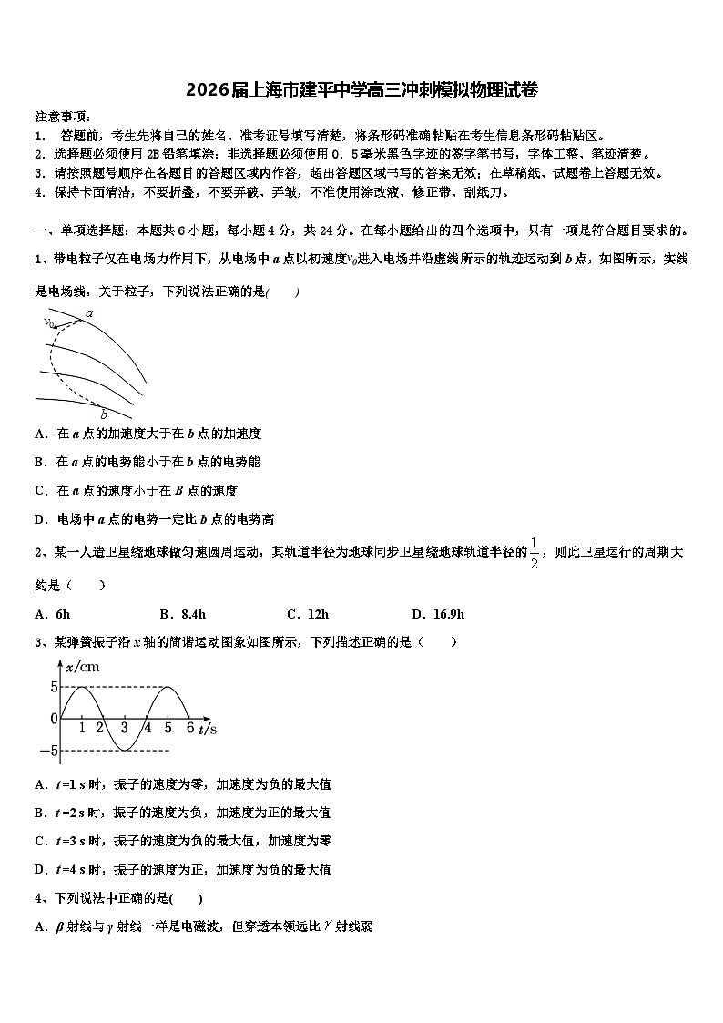 2026届上海市建平中学高三冲刺模拟物理试卷含解析第1页